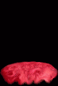 bloodris